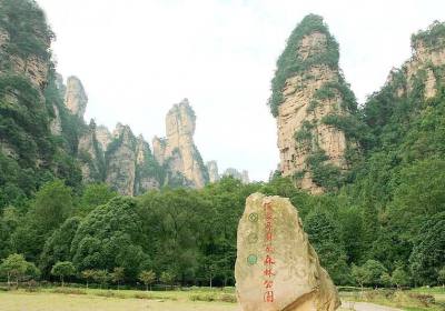 走湘西——張家界、鳳凰古城游記(一)
